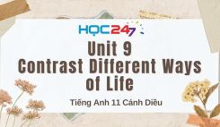 Unit 9 – Contrast Different Ways of Life