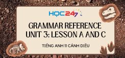 Grammar Reference Unit 3: Lesson A and C