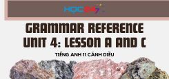 Grammar Reference Unit 4: Lesson A and C