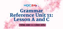 Grammar Reference Unit 11: Lesson A and C