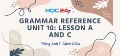 Grammar Reference Unit 10: Lesson A and C