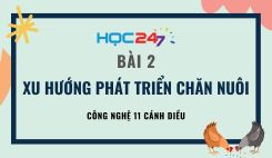 Bài 2: Xu hướng phát triển của chăn nuôi