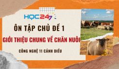 Ôn tập chủ đề 1: Giới thiệu chung về chăn nuôi