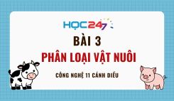 Bài 3: Phân loại vật nuôi