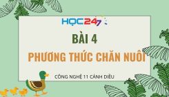 Bài 4: Phương thức chăn nuôi