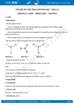 Lí thuyết và trắc nghiệm Hóa 12 Chương 3 Amin - Amino axit - Protein có đáp án