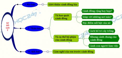 Tả cảnh đẹp của cánh đồng lúa quê em (hay nhất) | Văn mẫu lớp 6 - Trường Tiểu học Thủ Lệ
