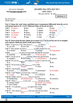 Đề thi giữa HK1 môn Tiếng Anh lớp 11 - THPT Nguyễn Trãi Thái Bình