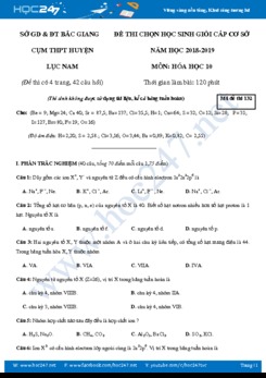 Đề thi chọn HSG Hóa 10 Sở Bắc Giang năm học 2018-2019 có đáp án