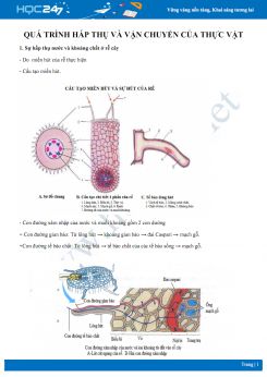 Qúa trình hấp thụ và vận chuyển trong thực vật sinh học 11