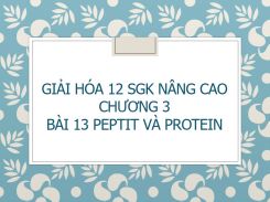 Giải Hóa 12 SGK nâng cao Chương 3 Bài 13 Peptit và Protein