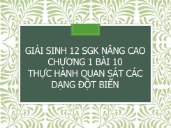 Giải Sinh 12 SGK nâng cao Chương 1 Bài 10 Thực hành Quan sát các dạng đột biến