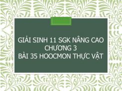 Giải Sinh 11 SGK nâng cao Chương 3 Bài 35 Hoocmon thực vật
