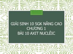 Giải Sinh 10 SGK nâng cao Chương 1 Bài 10 Axit nuclêic