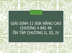 Giải Sinh 11 SGK nâng cao Chương 4 Bài 48 Ôn tập Chương II, III, IV