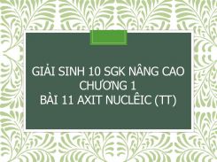 Giải Sinh 10 SGK nâng cao Chương 1 Bài 11 Axit nuclêic (tt)