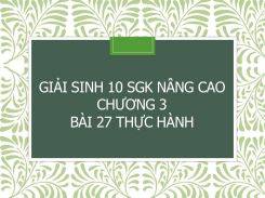 Giải Sinh 10 SGK nâng cao Chương 3 Bài 27 Thực hành