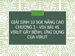 Giải Sinh 10 SGK nâng cao Chương 3 - VSV Bài 45 Virut gây bệnh, ứng dụng của virut