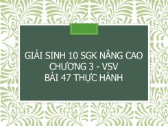 Giải Sinh 10 SGK nâng cao Chương 3 - VSV Bài 47 Thực hành