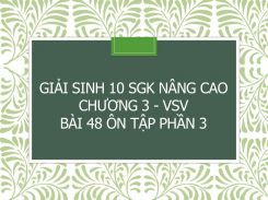 Giải Sinh 10 SGK nâng cao Chương 3 - VSV Bài 48 Ôn tập phần 3