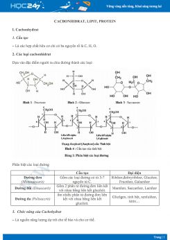 Lý thuyết Cacbonhydrat, lipit, protein - Sinh học 10