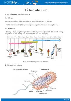 Lý thuyết Tế bào nhân sơ - Sinh học 10