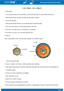 Lý thuyết Cấu trúc của virut - Sinh học 10