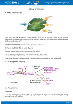 Lý thuyết Hô hấp thực vật - Sinh học 11