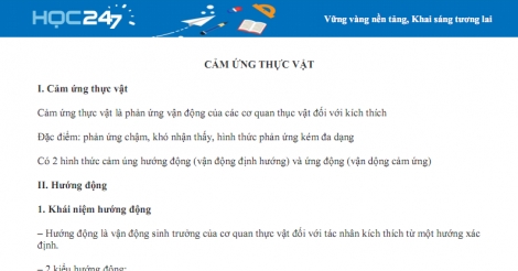 Tác dụng và công dụng của cảm ứng ở thực vật mà bạn cần biết