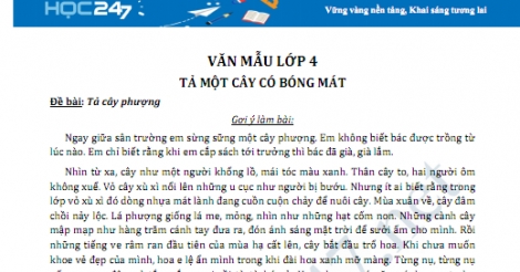 Tả Một Cây Có Bóng Mát (Hay Nhất) - Trường Tiểu Học Thủ Lệ