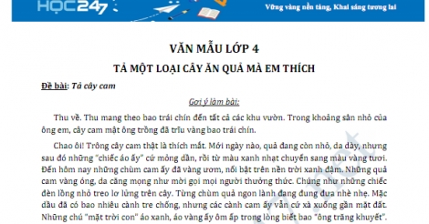 Tả cây xoài mà em yêu thích lớp 4