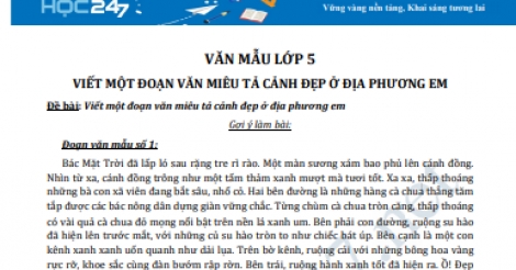 Viết một đoạn văn miêu tả cảnh đẹp ở địa phương em (hay nhất) | Văn mẫu lớp 5 - Luật Trẻ Em