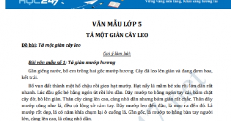 Tả Giàn Cây Leo - Vẻ Đẹp Thiên Nhiên Và Kỷ Niệm Tuổi Thơ