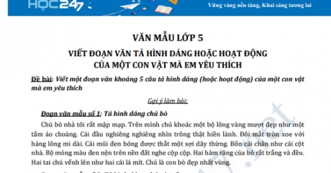 Viết Đoạn Văn Tả Hình Dáng Hoặc Hoạt Động Của Một Con Vật Mà Em Yêu Thích  (Hay Nhất) | Văn Mẫu Lớp 5 - Trường Tiểu Học Thủ Lệ