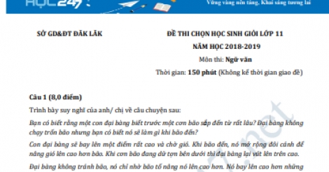 Đề thi HSG môn Ngữ văn lớp 11 năm 2019, Sở GD&ĐT ĐăkLăk