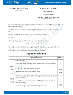 Đề thi giữa HK1 môn Sinh lớp 9 năm 2019-2020 - Trường THCS Giáp Sơn có đáp án