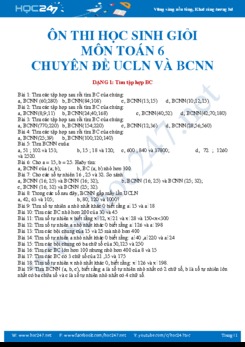 Chuyên đề HSG về ƯCLN và BCNN Toán lớp 6 năm học 2019-2020