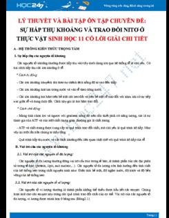 Lý thuyết và bài tập ôn tập chuyên đề Sự hấp thụ khoáng và trao đổi nito ở thực vật Sinh học 11 có lời giải chi tiết