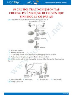 50 Câu hỏi trắc nghiệm ôn tập chương IV - Ứng dụng di truyền học Sinh học 12 có đáp án