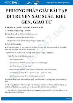 Phương pháp giải bài tập di truyền xác suất, kiểu gen, giao tử trong kỳ thi THPT QG