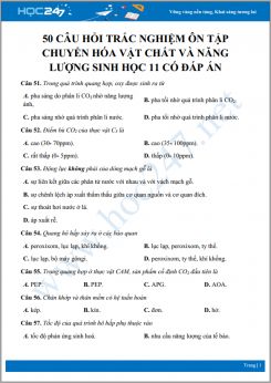 50 Câu hỏi trắc nghiệm ôn tập về Chuyển hóa vật chất và năng lượng Sinh học 11 có đáp án