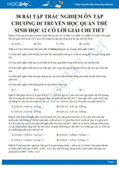 38 Bài tập trắc nghiệm ôn tập Chương Di truyền học quần thể Sinh học 12 có lời giải chi tiết