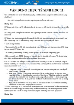 Hướng dẫn giải chi tiết các câu hỏi tự luận vận dụng thực tế Sinh học 11 - Trường THPT Yên Định