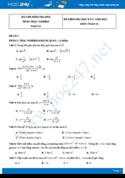 Bộ 2 đề kiểm tra  HK2 Toán lớp 11 năm 2020 có đáp án