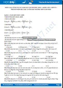 Phân loại, củng cố các dạng bài tập chương Amin - Amino axit - Peptit - Protein môn Hóa học 12 năm 2020 Trường THPT Hàm Nghi