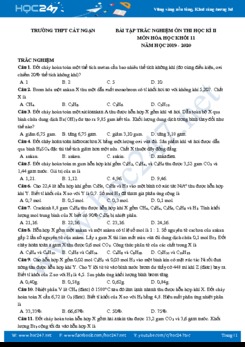 Bài tập trắc nghiệm ôn thi HK2 năm 2020 môn Hóa học 11 Trường THPT Cát Ngạn