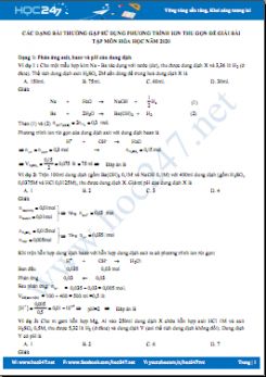 Các dạng bài thường gặp sử dụng phương trình ion thu gọn để giải bài tập môn Hóa học 11 năm 2020