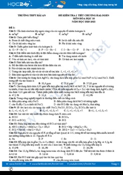 Bộ 2 đề kiểm tra 1 tiết chương Halogen môn Hóa học 10 năm 2020 Trường THPT Hải An