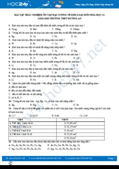 Bài tập trắc nghiệm ôn tập Đại cương về kim loại môn Hóa học 12 năm 2020 Trường THPT Đường An