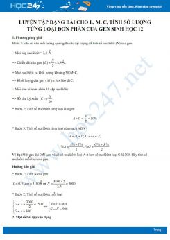 Luyện tập dạng bài tính số lượng từng loại đơn phân của gen khi biết các đại lượng L, M, C Sinh học 12